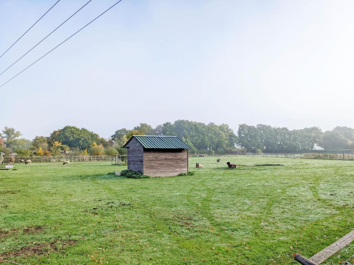 The Quail Cabin Villa Kirdford Exterior photo